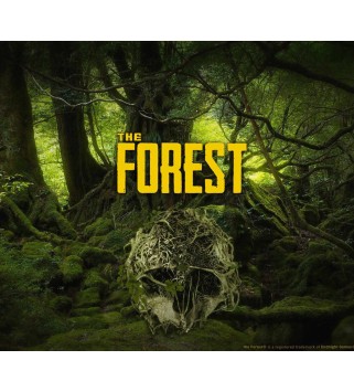 The Forest Steam Key GLOBAL